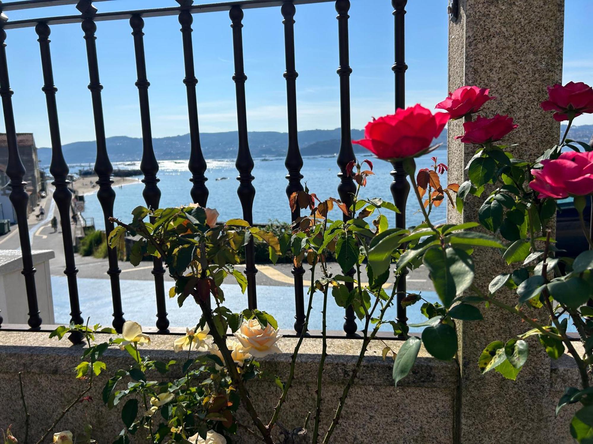 Masandia Moaña 외부 사진